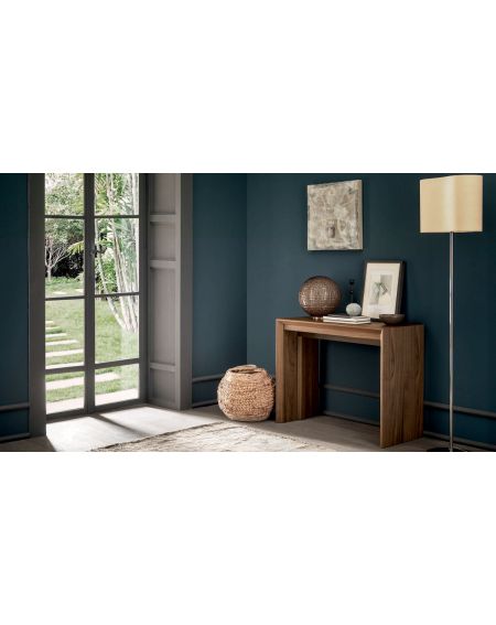 Console extensible David