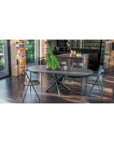 ouverte avec 2 allonges